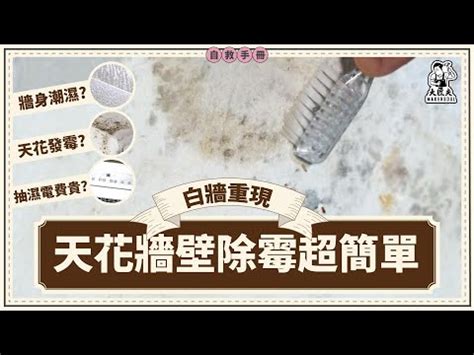 天花板發黴處理方法